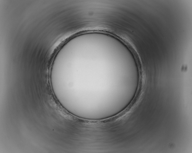 X0000112000781200908031045