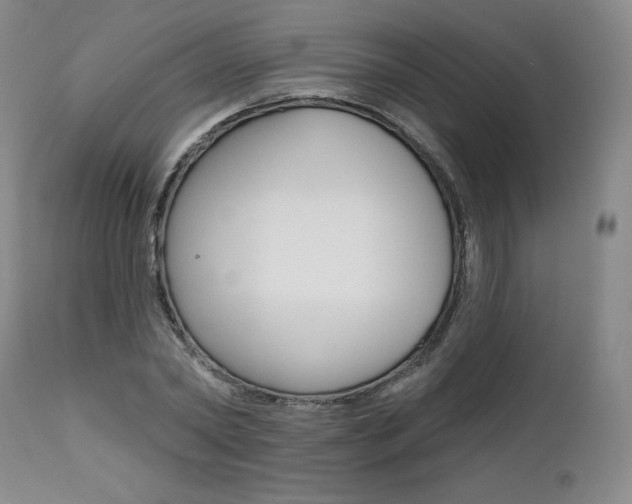 X0000112000782200908031045