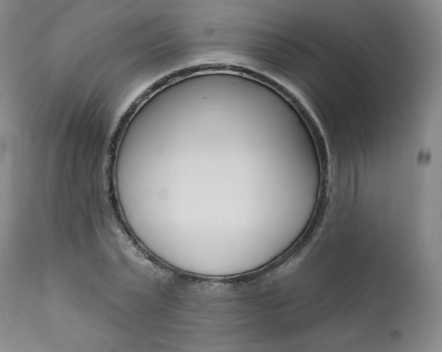 X0000112000783200908031045