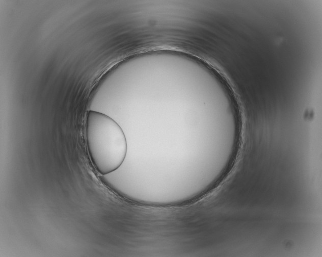 X0000112000785200908031045