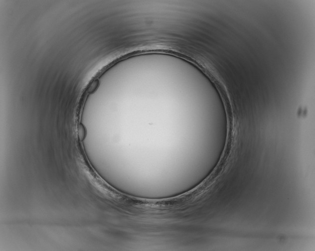 X0000112000789200908031045