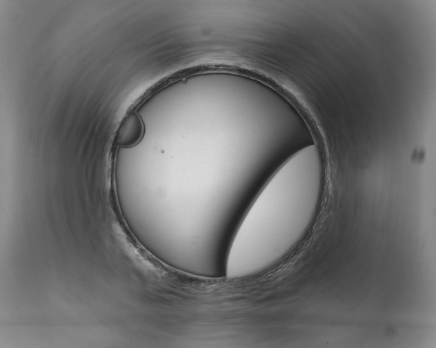 X0000112000791200908031045