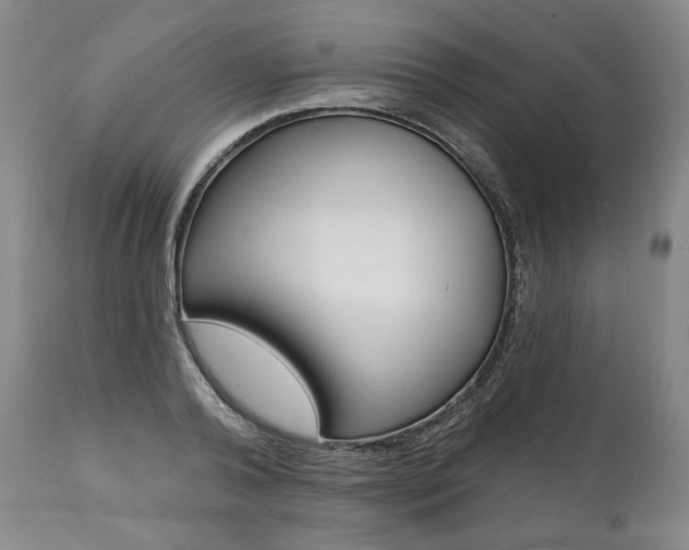 X0000112000792200908031045
