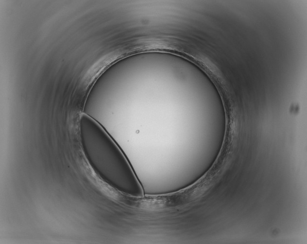 X0000112000793200908031045