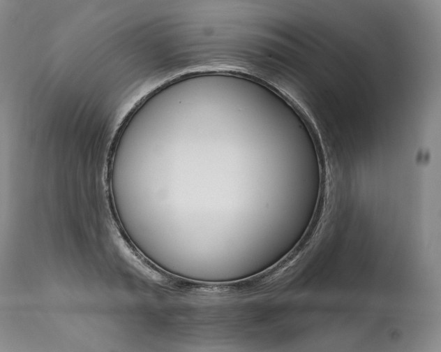 X0000112000797200908031045