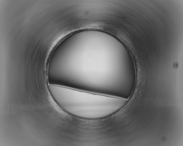 X0000112000800200908031045