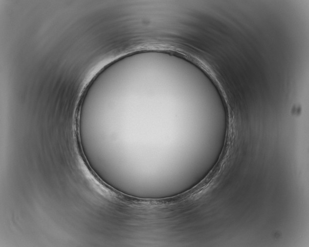 X0000112000803200908031045