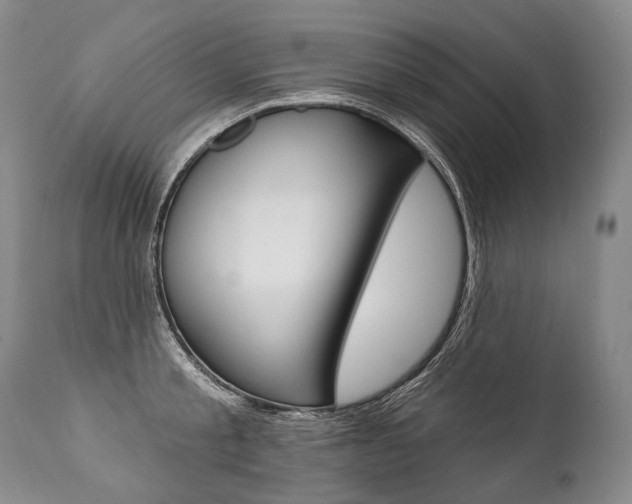 X0000112000805200908031045