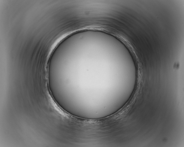 X0000112000808200908031045