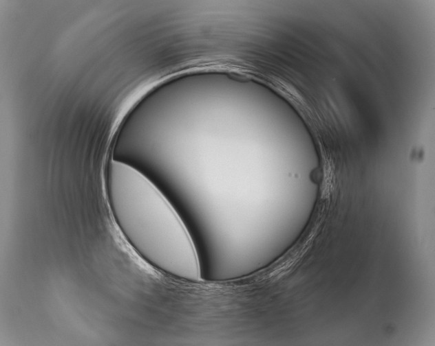 X0000112000812200908031045