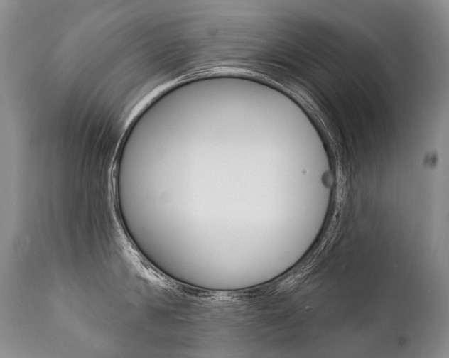 X0000112000814200908031045