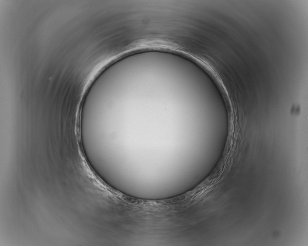 X0000112000815200908031045