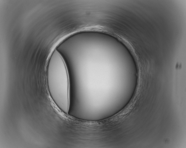 X0000112000816200908031045
