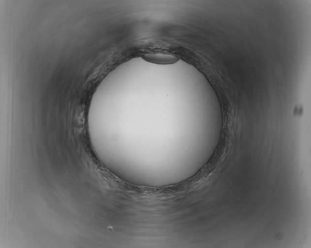 X0000112000818200908031044