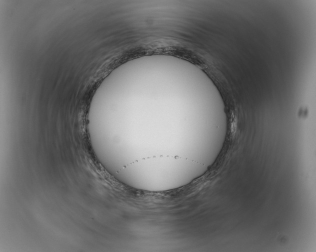 X0000112000819200908031044
