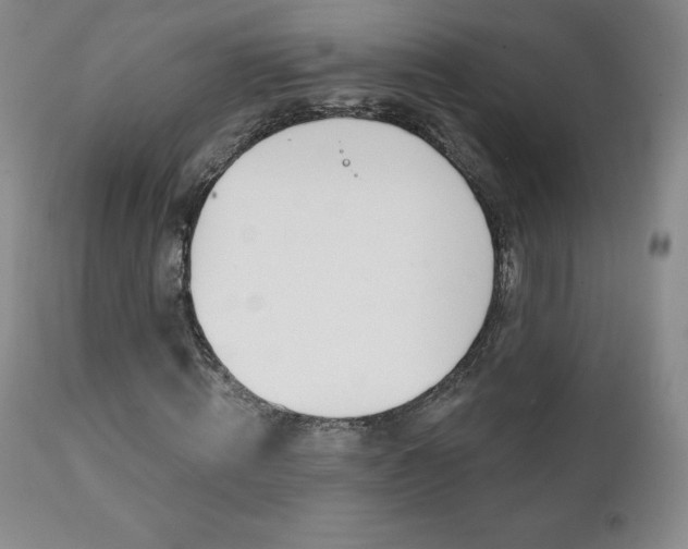 X0000112000820200908031044