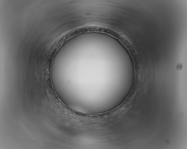 X0000112000821200908031044