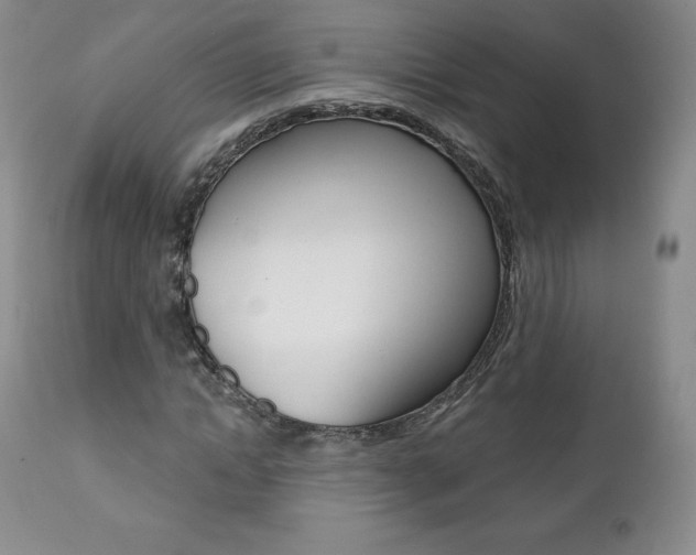 X0000112000822200908031044