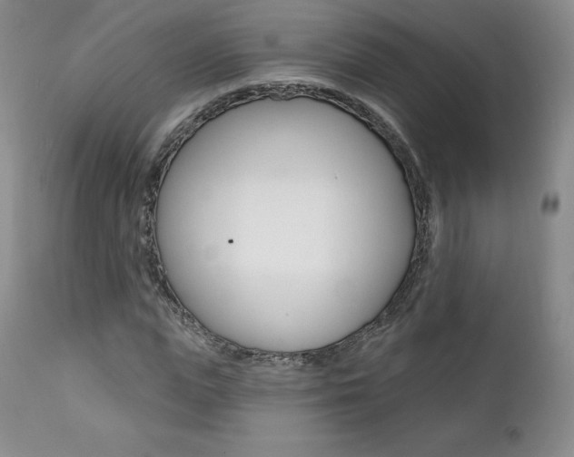 X0000112000823200908031044