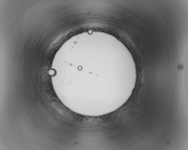 X0000112000824200908031044