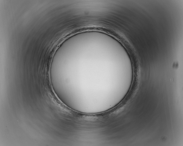 X0000112000825200908031044