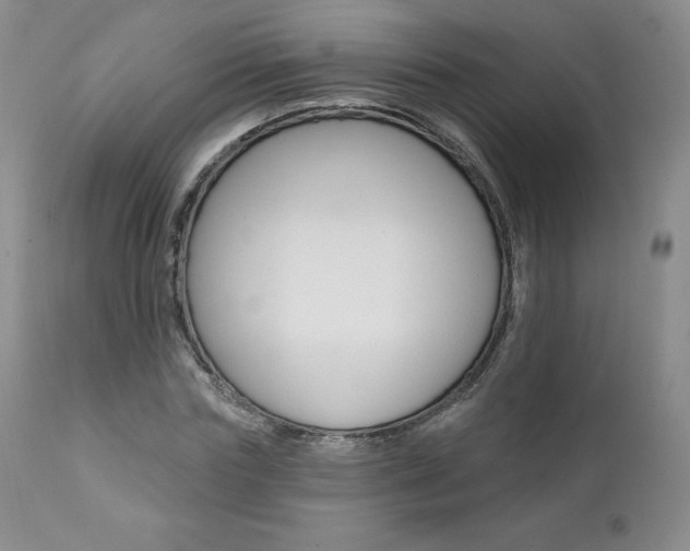 X0000112000827200908031044