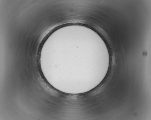 X0000112000828200908031044