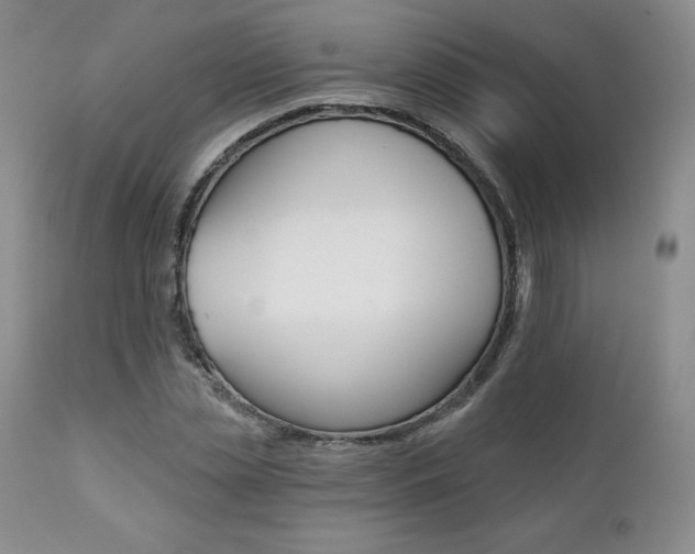 X0000112000829200908031044