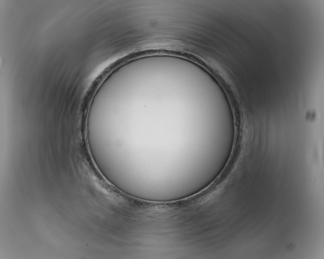 X0000112000830200908031044