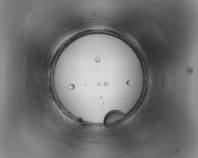 X0000112000831200908031044