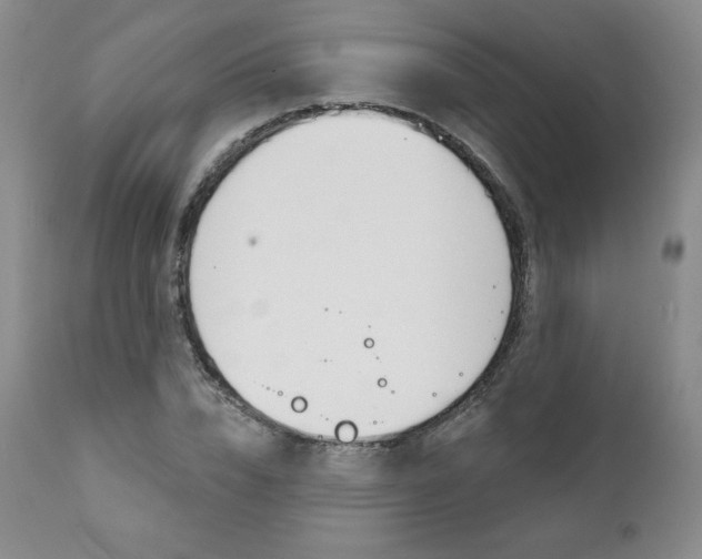 X0000112000832200908031044