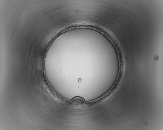 X0000112000833200908031044