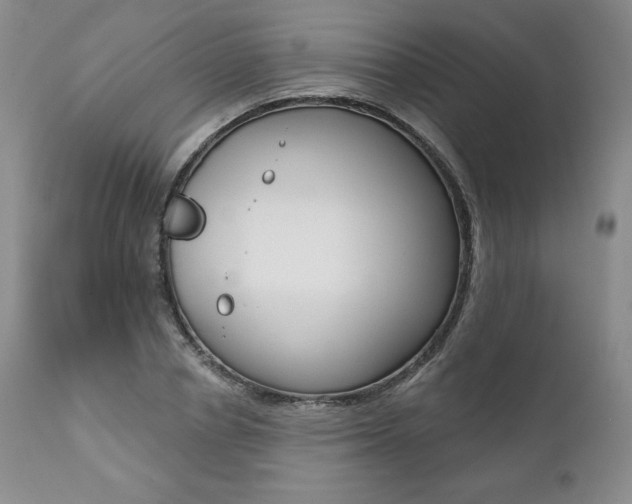 X0000112000834200908031044