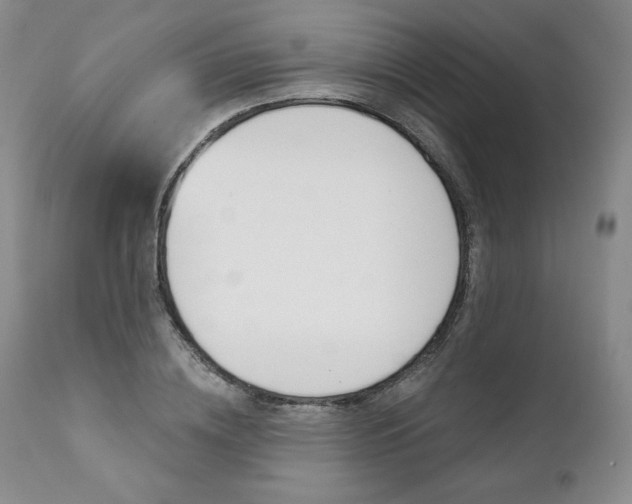 X0000112000836200908031044