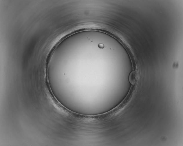 X0000112000837200908031044