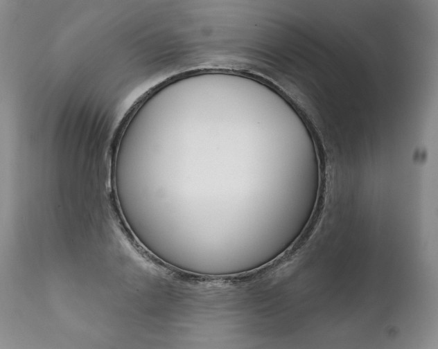X0000112000838200908031044