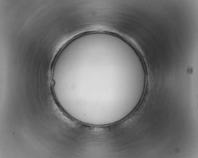 X0000112000839200908031044