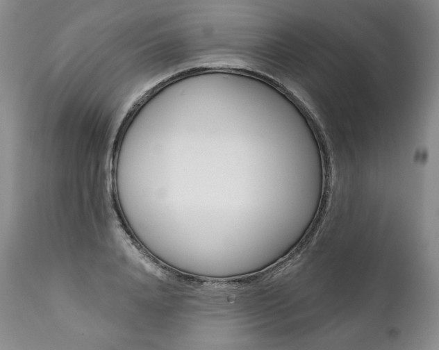 X0000112000840200908031044