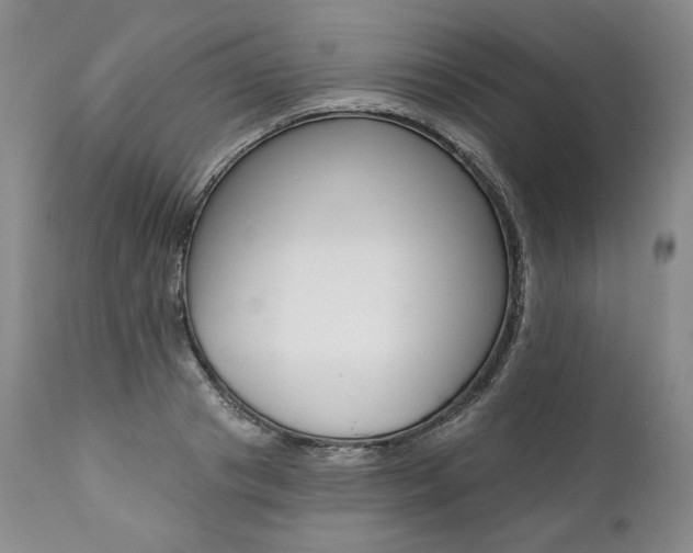 X0000112000841200908031044