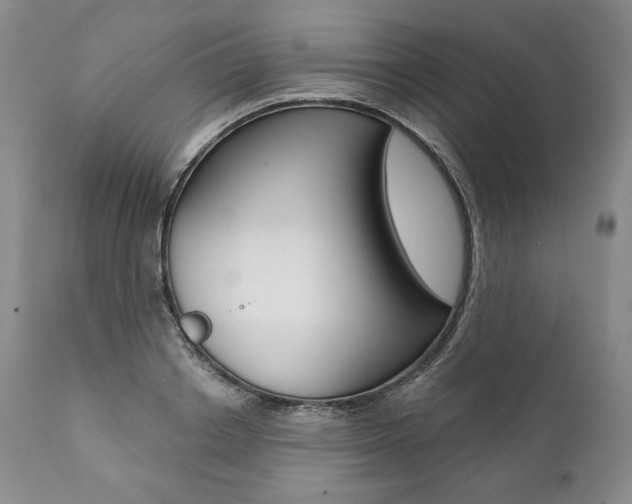 X0000112000842200908031044