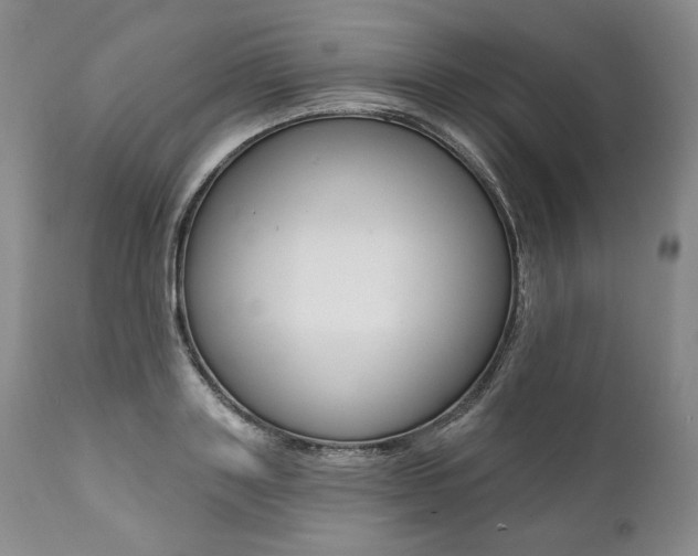 X0000112000843200908031044