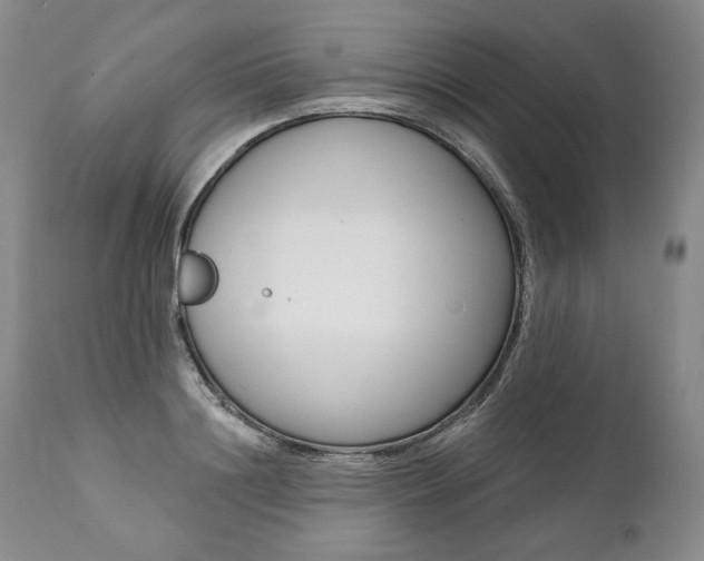 X0000112000844200908031044
