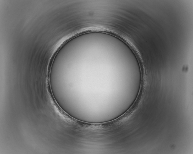 X0000112000845200908031044