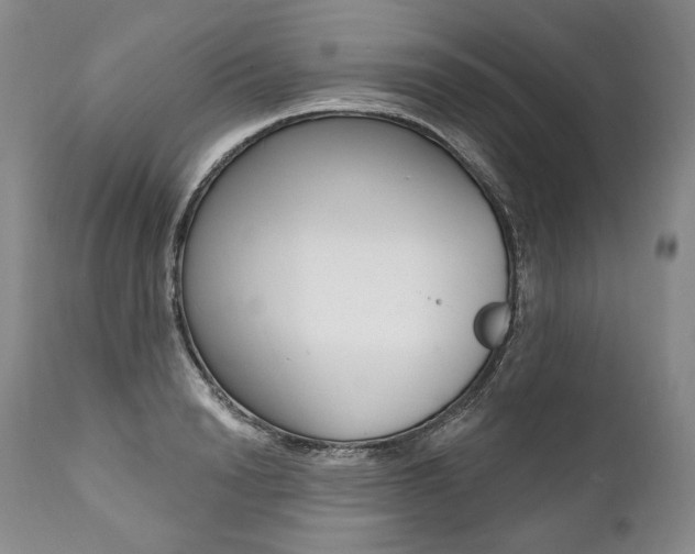 X0000112000846200908031044