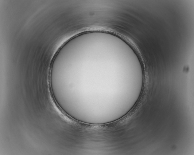 X0000112000847200908031044