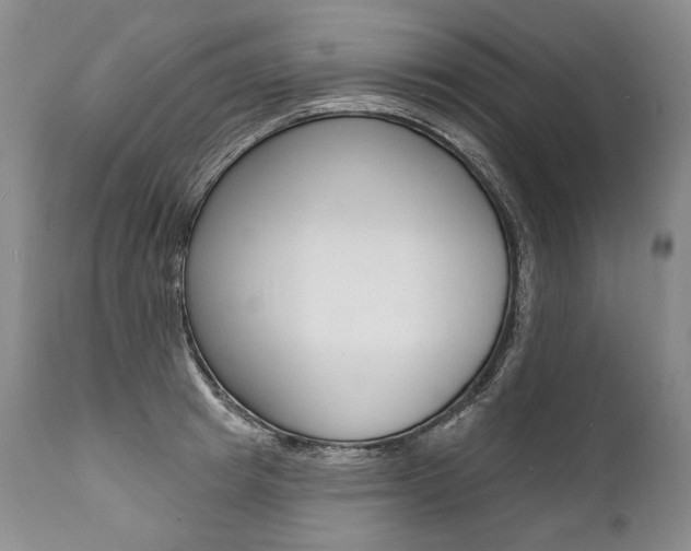 X0000112000849200908031044