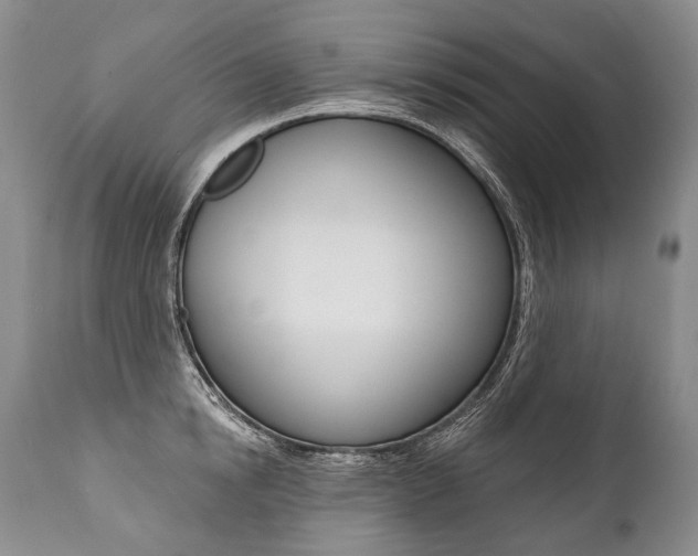X0000112000854200908031044