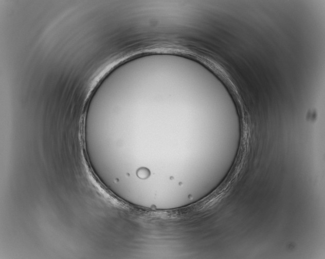X0000112000855200908031045