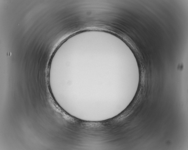 X0000112000856200908031045