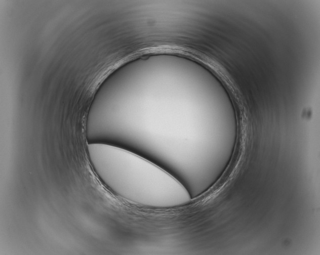X0000112000857200908031045